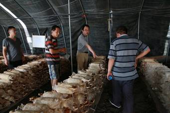 http://www.tjau.edu.cn/_mediafile/tjauwz/2018/07/11/24cla1f9ak.jpg